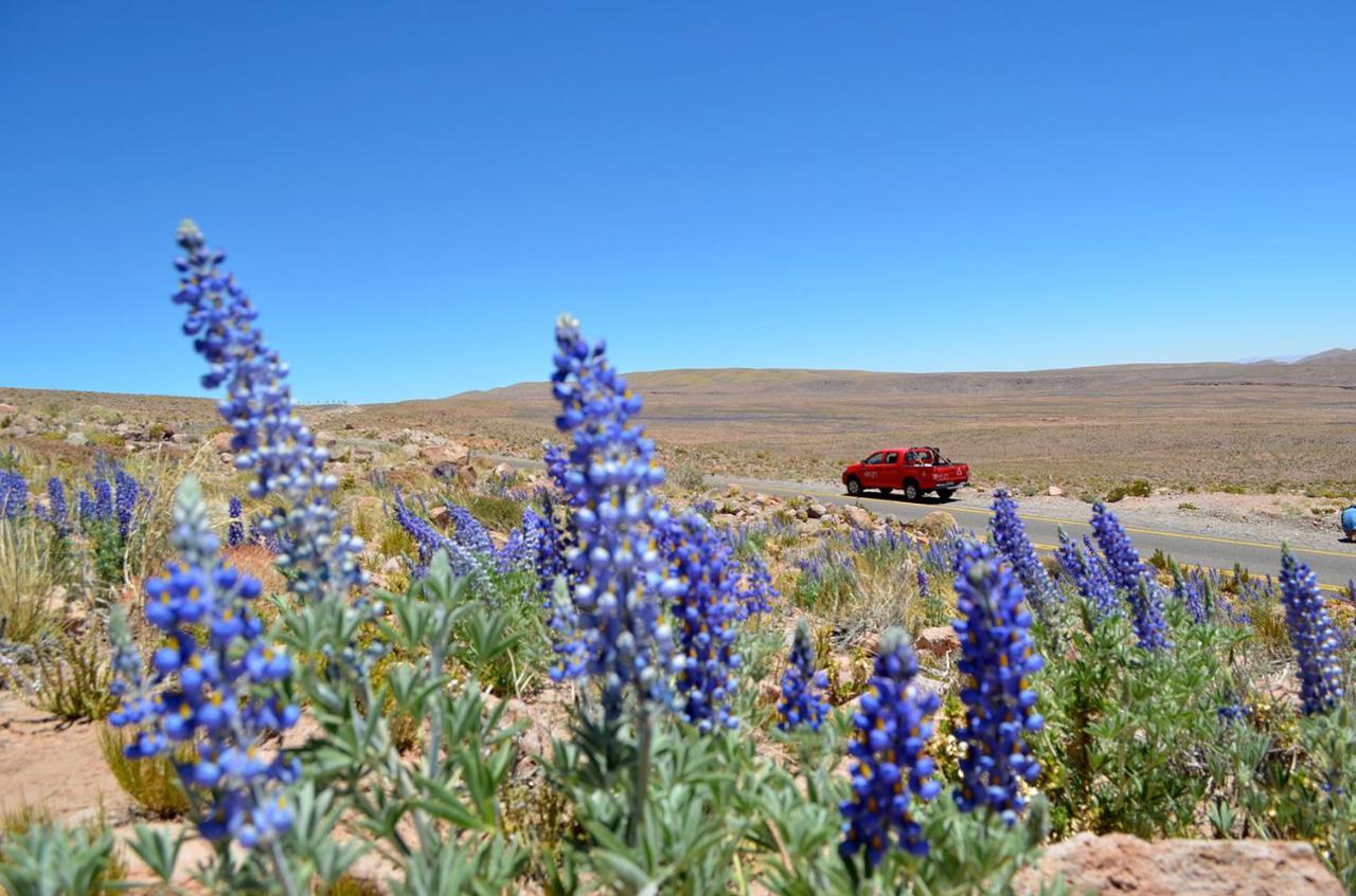 Ckuri Atacama Hotell San Pedro de Atacama Exteriör bild