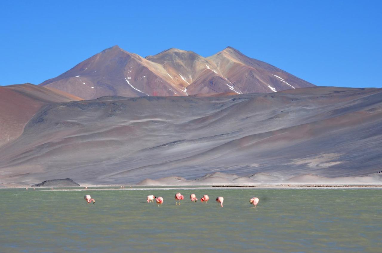 Ckuri Atacama Hotell San Pedro de Atacama Exteriör bild